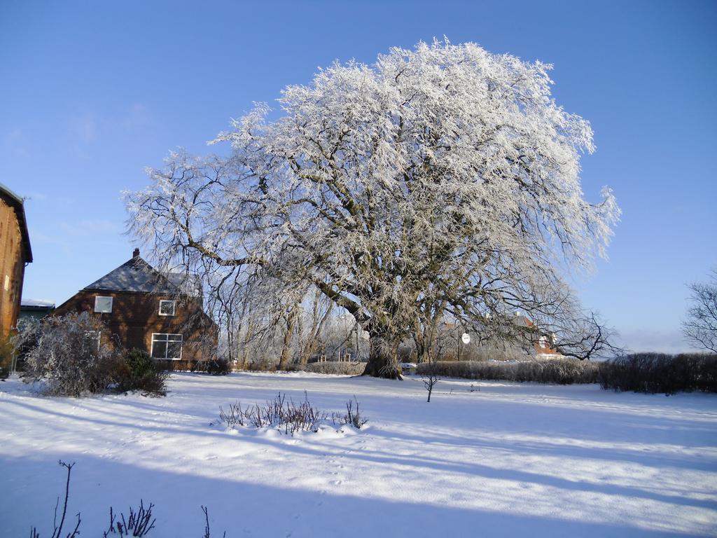 Villa Kastanienhof Kalleby Exterior foto